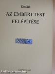 Az emberi test felépítése