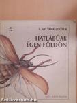 Hatlábúak égen-földön