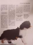 Értsük meg a cicánkat!