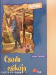 Csoda csikója