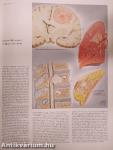 The CIBA Collection of Medical Illustrations I.