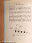 Der Nachweis der Radikale CH3CO, C2H4OH, C2H5O, C4H5, C2H5, C3H7, C4H9, neo-C5H11, c-C5H9 mit der Multiphotonenionisation/Massenspektrometrie