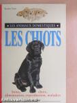 Les Chiots