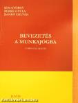 Bevezetés a munkajogba