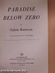 Paradise Below Zero