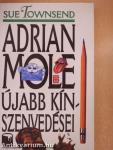 Adrian Mole újabb kínszenvedései