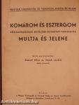 Komárom és Esztergom közigazgatásilag egyelőre egyesített vármegyék multja és jelene