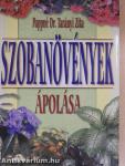 Szobanövények ápolása