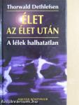 Élet az élet után