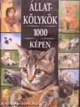 Állatkölykök 1000 képen