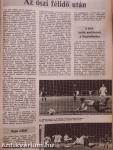 Labdarúgás 1976-1980. január-december