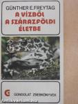 A vízből a szárazföldi életbe