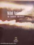 Wild Animals of North America