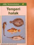 Tengeri halak