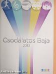 Csodálatos Baja 2013