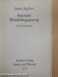 Steinzeit/Wiederbegegnung