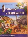 Pillantás a természetre