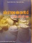 Gom su trong nam con tau co o vung bien viet nam