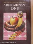 A rekombináns DNS