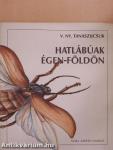 Hatlábúak égen-földön