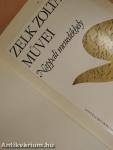 Nappali menedékhely