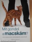 Mit gondol a macskám?