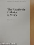 The Accademia Galleries in Venice