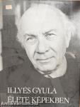 Illyés Gyula élete képekben