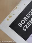 Borsodi Szemle 1976/3.