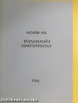 Vasvári Pál Közgazdasági Szakközépiskola