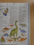 The Usborne Illustrated English Dictionary