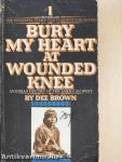 Bury my Heart at Wounded Knee