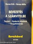 Bevezetés a számvitelbe