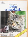 Beteg a macskánk