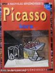 Picasso kora