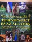 Kalandozások a természet és az állatok titokzatos világában