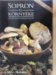 Sopron és környéke