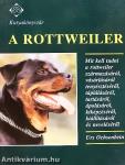 A rottweiler