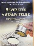 Bevezetés a számvitelbe