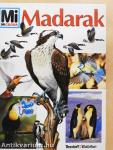 Madarak