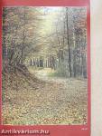 Látnivalók Győr-Moson-Sopron megyében