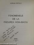 Fenomenele de la Padurea Hoia-Baciu