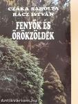 Fenyők és örökzöldek