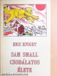 Sam Small csodálatos élete