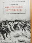 1848 júniusától novemberéig