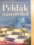 Példák számvitelből