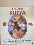 Kutya a házban és a ház körül