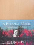 A Pillanat Békéje