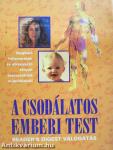 A csodálatos emberi test