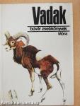 Vadak